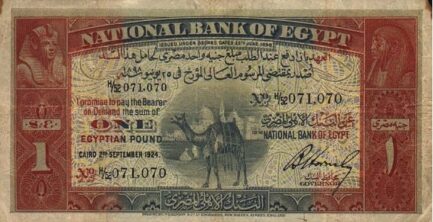 1 Egyptian Pound banknote - Camel