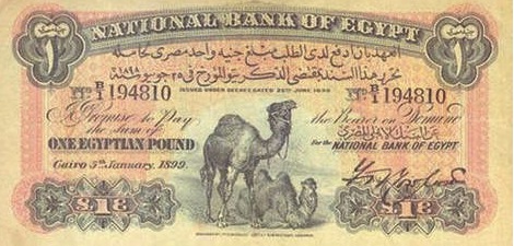 1 Egyptian Pound banknote - Two Camels
