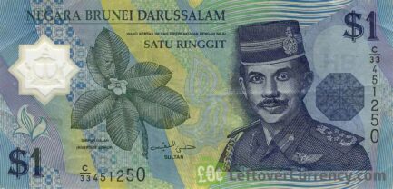 1 Brunei Dollar banknote series 1996