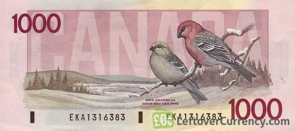 1000 Canadian Dollars Birds Of Canada Exchange Yours Today
