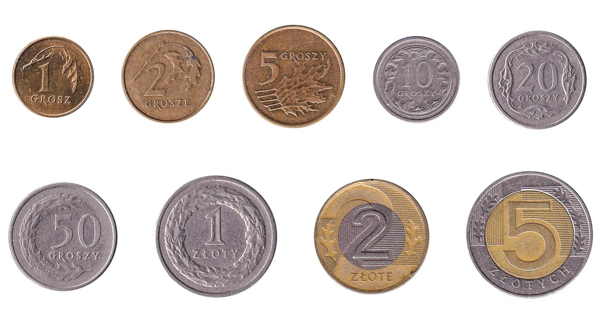 Exchange Polish Zloty In 3 Easy Steps Leftover Currency Exchange Polish Zloty In 3 Easy Steps Leftover Currency