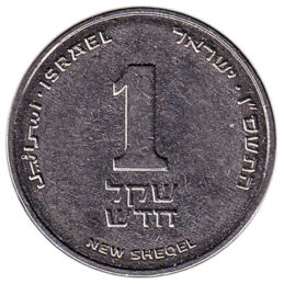 1 Israeli new Shekel coin