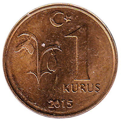 1 Kurus coin Turkey