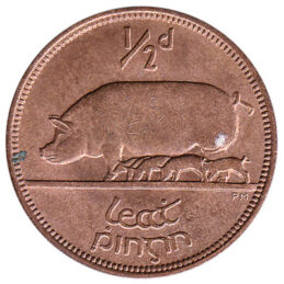 Irish predecimal halfpenny coin