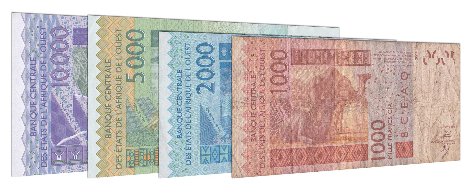 Exchange CFA Francs West Africa In 3 Easy Steps Leftover Currency exchange-cfa-francs-west-africa-in-3-easy-steps-leftover-currency