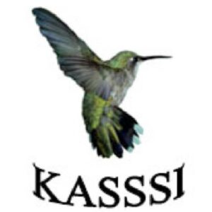 KASSSI charity logo