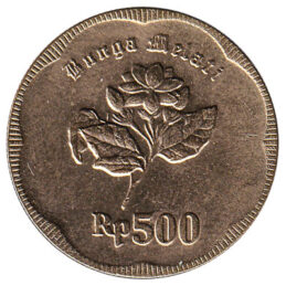 Indonesia 500 Rupiah coin (1991 to 1996)