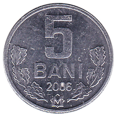 5 bani coin Moldova