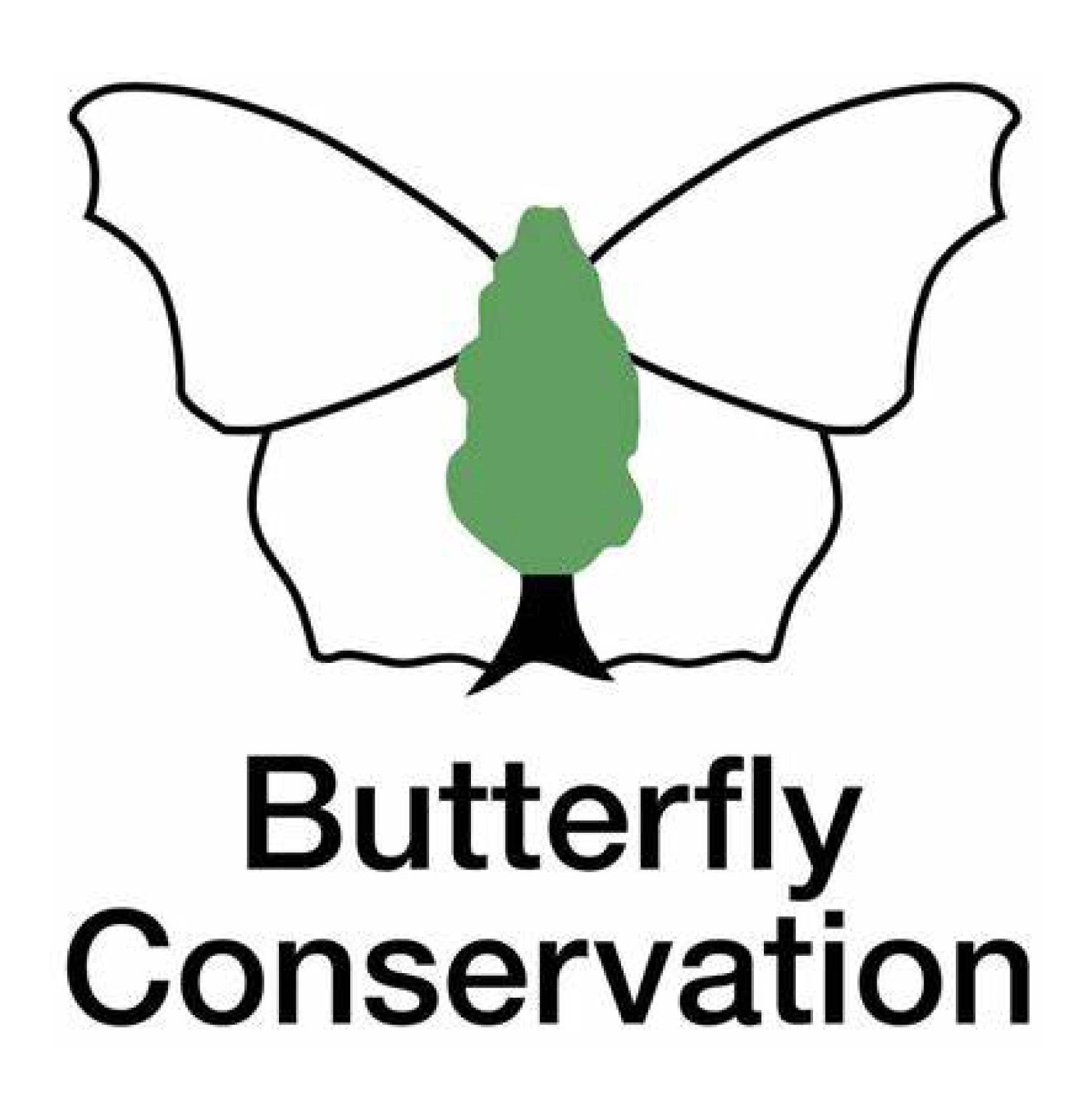 Butterfly Conservation square logo