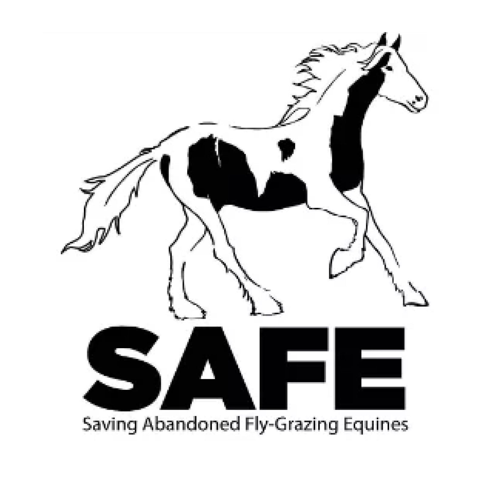 SAFE square logo