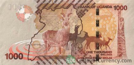 1000 Ugandan Shillings banknote (Nyero rock paintings) reverse