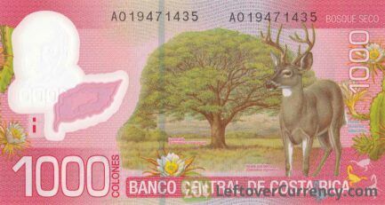 1000 Costa Rican Colones polymer banknote (white tailed deer)