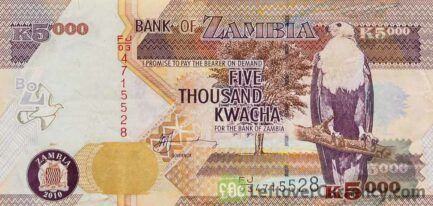 5000 Zambian Kwacha banknote (Lion - BoZ type) obverse side