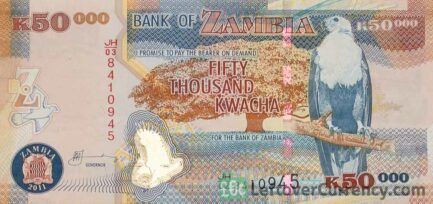 50,000 Zambian Kwacha banknote leopard obverse side