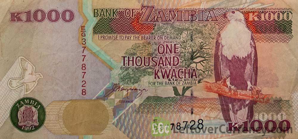1000 Zambian Kwacha banknote (Aardvark - paper)