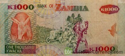 1000 Zambian Kwacha banknote (Aardvark - paper)