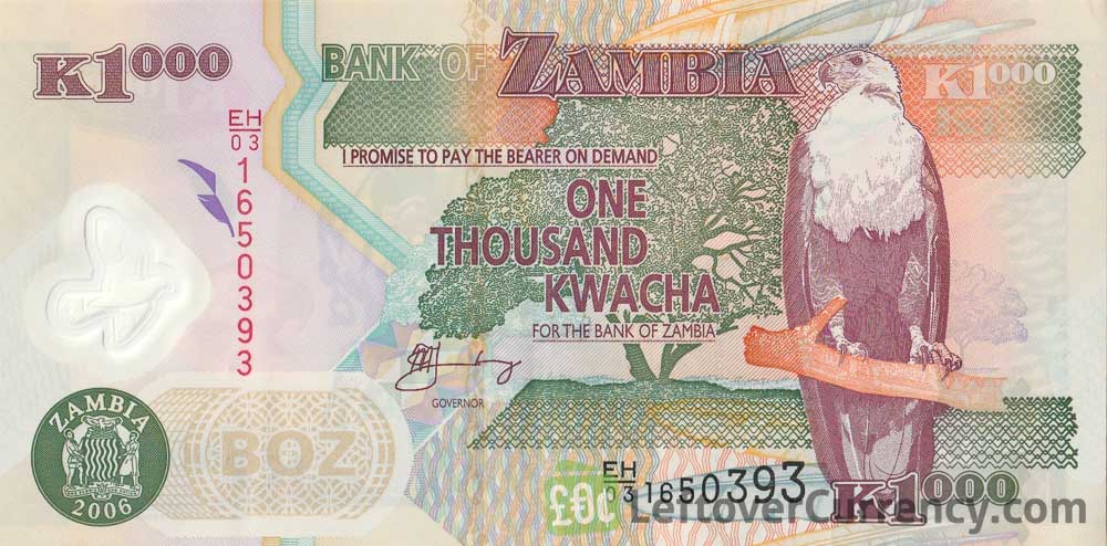 1000 Zambian Kwacha banknote (Aardvark - polymer)