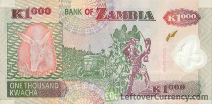 1000 Zambian Kwacha banknote (Aardvark - polymer)