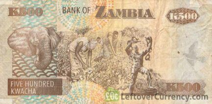 500 Zambian Kwacha banknote (Elephant - paper)