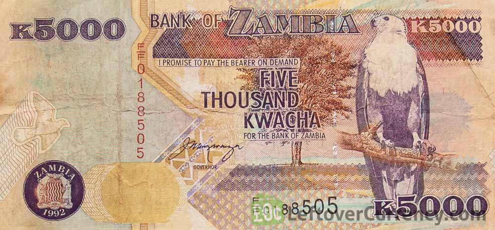 5000 Zambian Kwacha banknote (Lion) obverse side