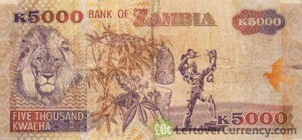 5000 Zambian Kwacha banknote (Lion) reverse side