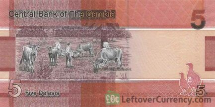 5 Gambian Dalasis banknote (Giant Kingfisher)