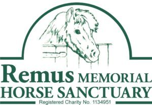 Remus Memorial Horse Sanctuary logo