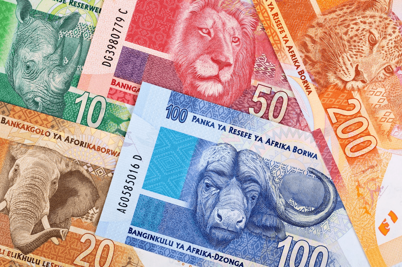 South African money a business background