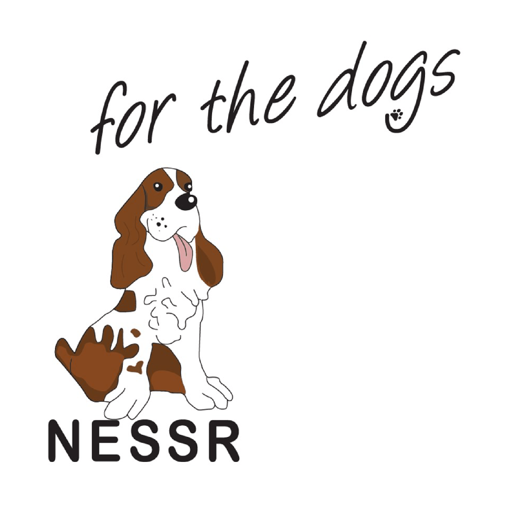 NESSR square logo